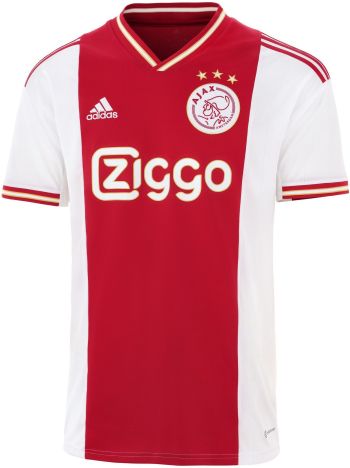 Bloody circulatie Refrein Ajax voetbalshirt overzicht per seizoen х Voetbalshirt Museum